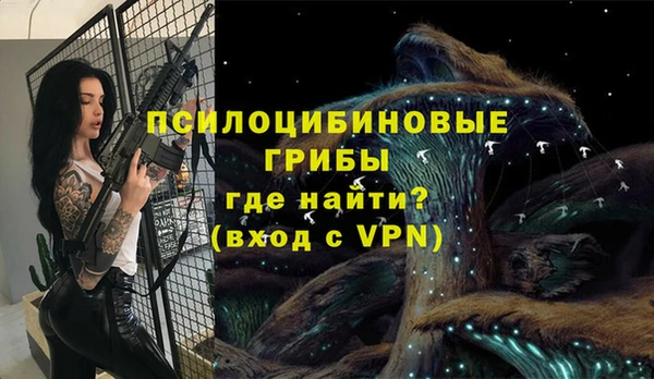 стафф Новозыбков