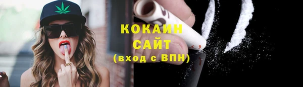 прущие грибы Новокубанск