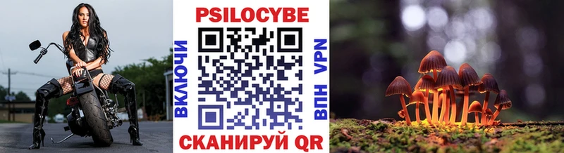 где продают наркотики  сайты даркнета наркотические препараты  Псилоцибиновые грибы MAGIC MUSHROOMS  Люберцы 